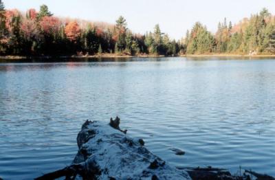 Algonquin, Ontario