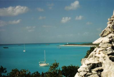 Rosebud in Bahamas