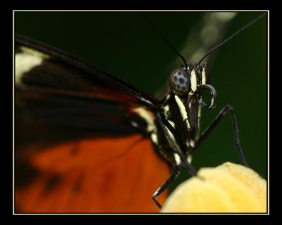 aIMG_0306.jpg