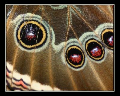 aIMG_0318.jpg