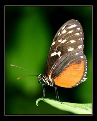 aIMG_0329.jpg