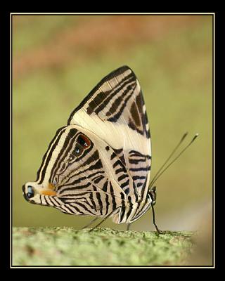 aIMG_0354.jpg