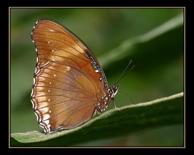 aIMG_0355.jpg