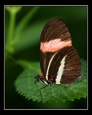 aIMG_0360.jpg