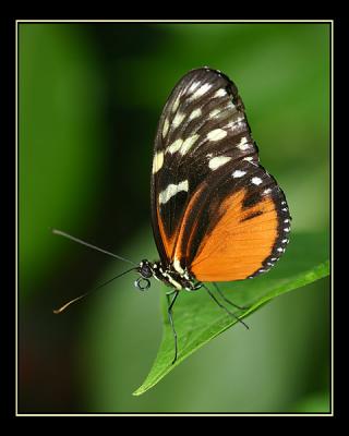 aIMG_0362.jpg