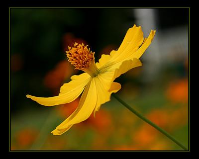 aIMG_0399.jpg