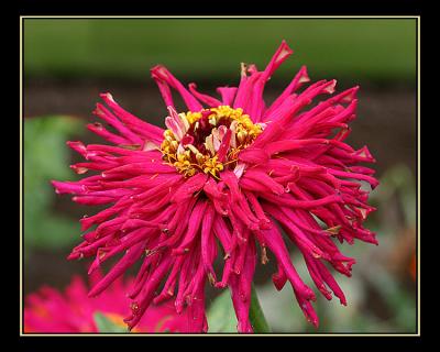 aIMG_0405.jpg