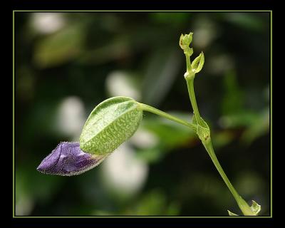 aIMG_0412.jpg