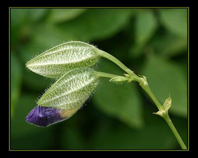 aIMG_0422.jpg