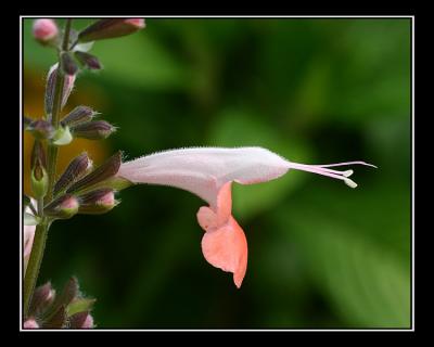 aIMG_0431.jpg
