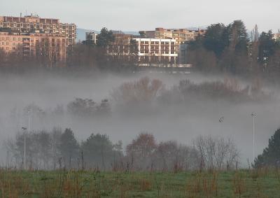 Morning fog - Geneva