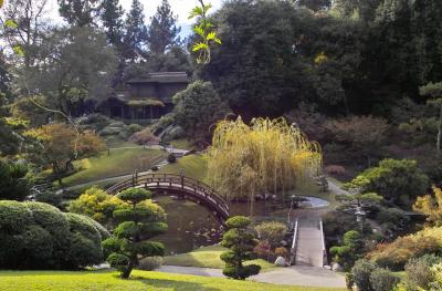 Japanese garden H7 IMG03061r.jpg