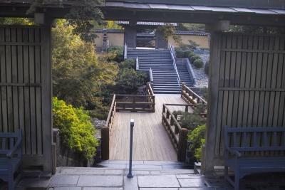 Japanese Garden