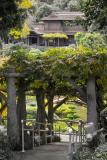 Japanese Garden