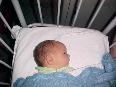 1 Day Old.jpg