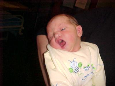 Big Yawn.JPG