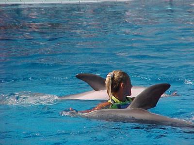 Dolphin 3.JPG