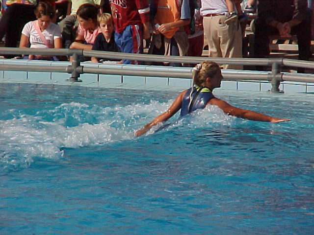 Dolphin 4.JPG