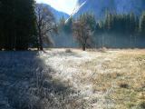 Rapidly Retreating Frost