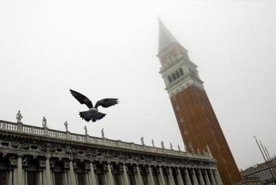 Venice 33