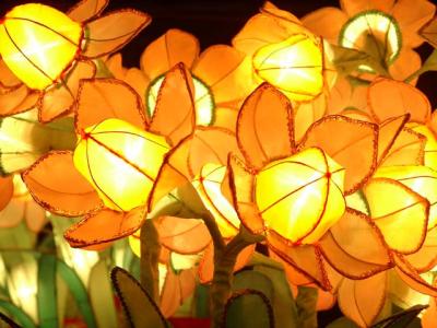 Lantern 2003