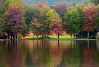 Reflections, Lasdon Park