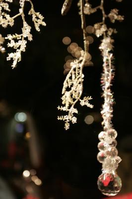 _N0Z0264.jpg