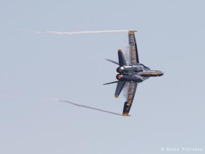 u21/socal_finn/medium/35234564.p_IMG_5412.jpg