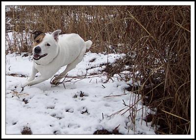 Griffy Snow Hike
