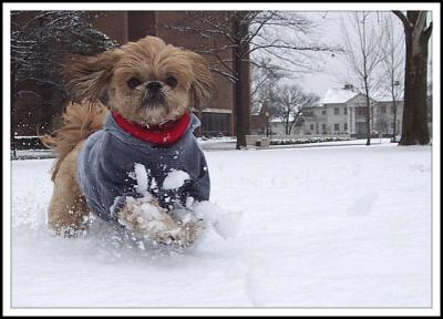 Snow Time