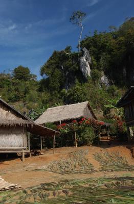 Drying the brooms, Laos