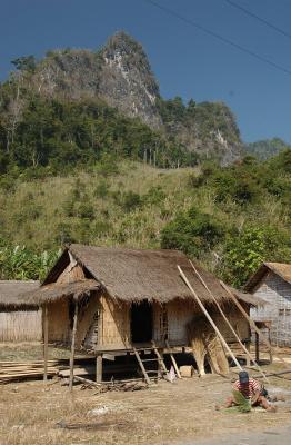 The brooms maker, Laos
