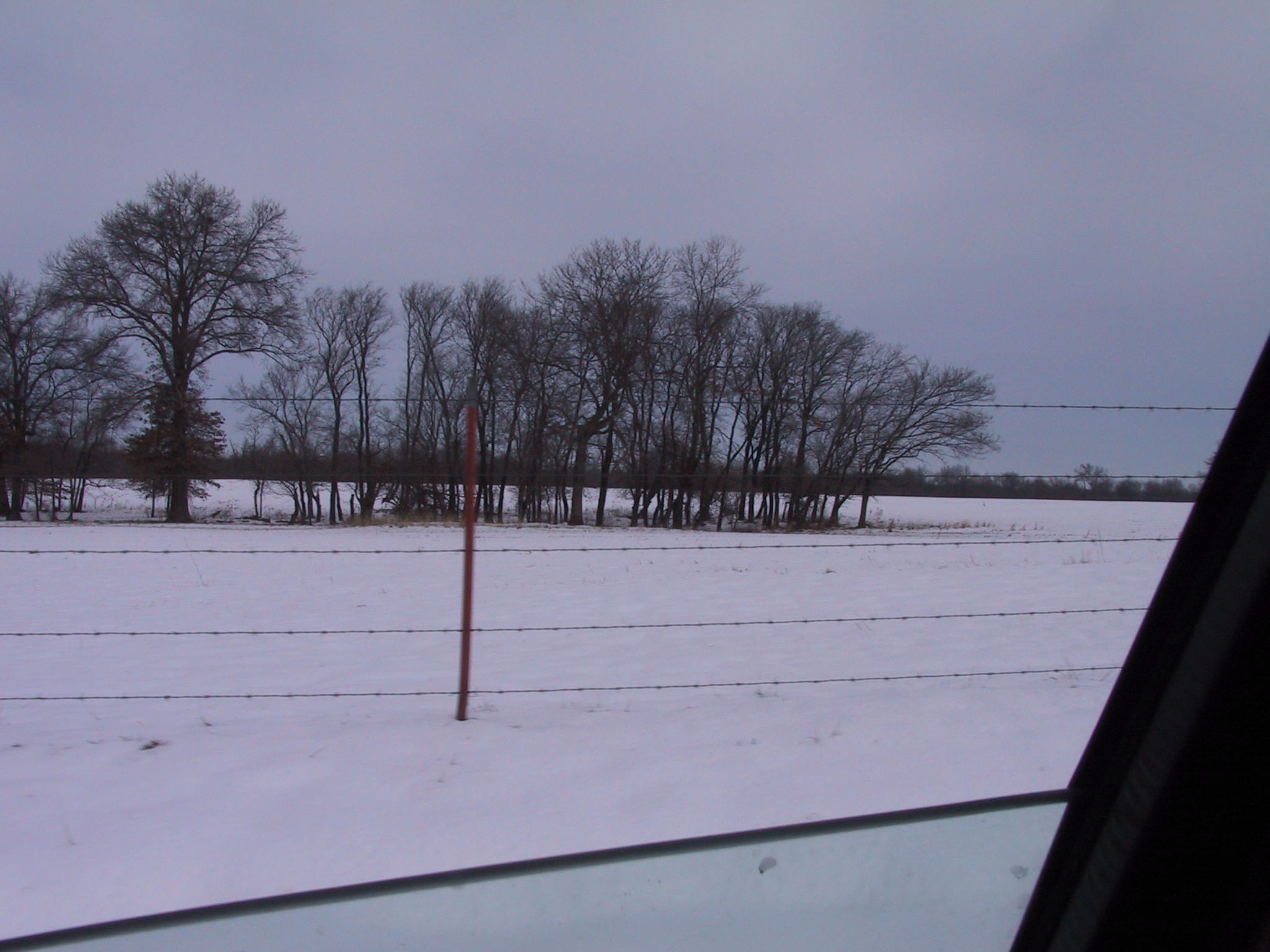 100-0003_IMG.JPG