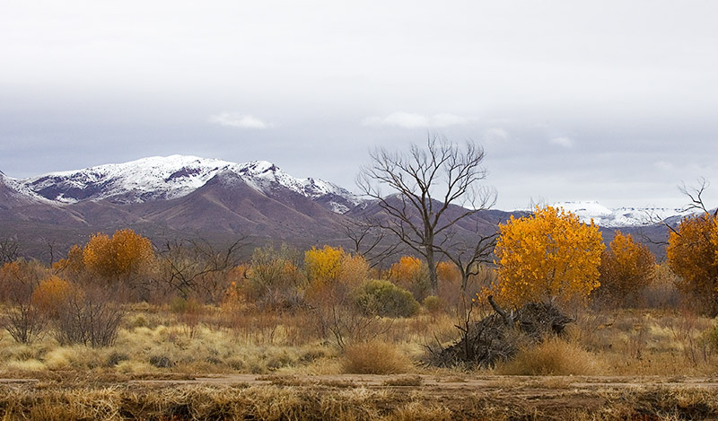 _P9E4690.jpg