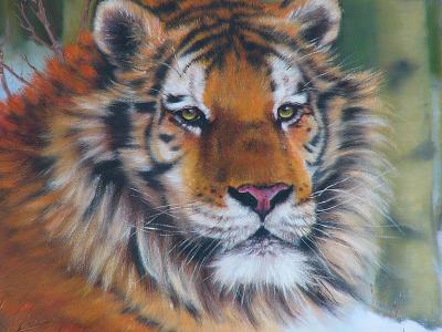 Tiger (Nov 26th)