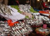 fish market1.JPG
