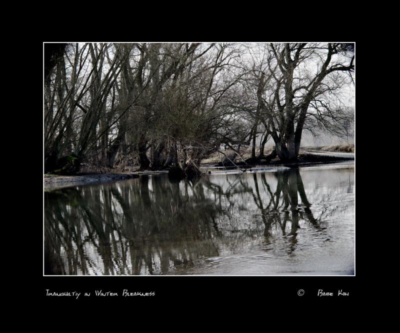 <p align=center> <b> Tranquility in Winter Bleakness </b> <br> <font size=1> by Babe </font> </p>