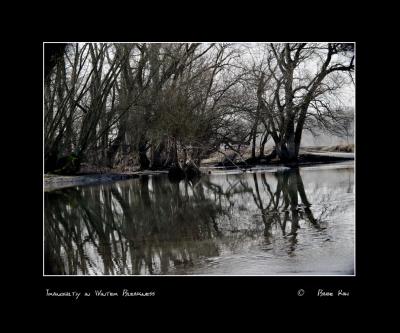   Tranquility in Winter Bleakness    by Babe  