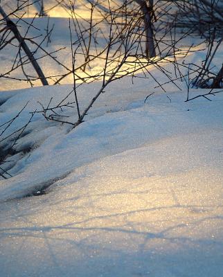Snow at Sunset*by Eugeni Vaisberg