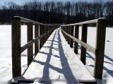 Dual Railings<br>Bill Borne