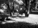 <b>Look Closely</b><br><small>by Keith McKane</small>