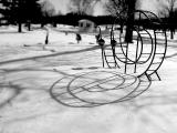 Spiral<br>Bill Borne