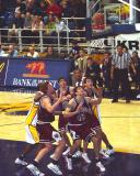 Harvard vs Berkerley by Arlene