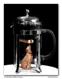 <b>The New Bodum Milkbone Feeder</b><br><font size=2>Fremiet</font>