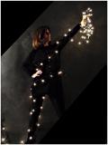 <b><i>10th - </i>The Holiday Constellation</b><br>by Fremiet