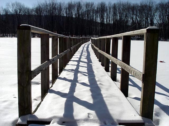 Dual Railings<br>Bill Borne