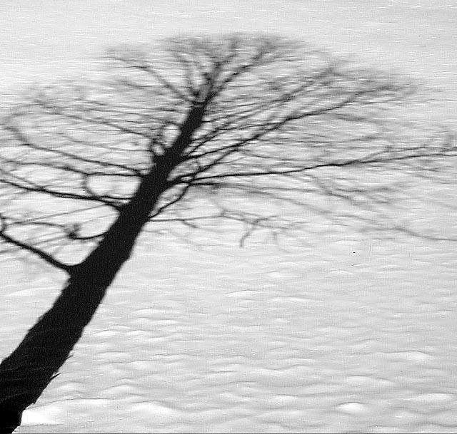 Painting on Snow<br>Bill Borne
