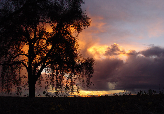 10th (tie)<br><br><b>Painted Sky</b> <br><font size=2>by Nee</font>