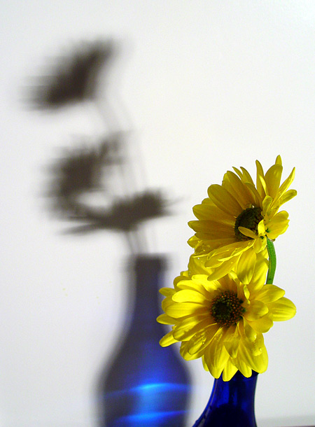 yellow flowers in blue bottle<br>by Mark Siemon