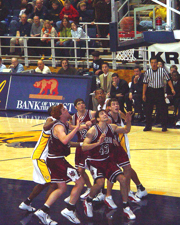 Harvard vs Berkerley by Arlene